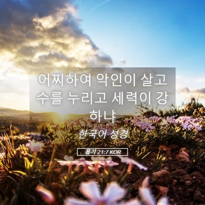 Picture 05 - 욥기 21:7 KOR - 어찌하여 악인이 살고 수를 누리고 - Bible Verse Picture