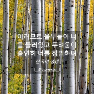 Picture 05 - 욥기 22:10 KOR - 이러므로 올무들이 너를 둘러있고 - Bible Verse Picture