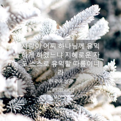 Picture 05 - 욥기 22:2 KOR - 사람이 어찌 하나님께 유익하게 - Bible Verse Picture