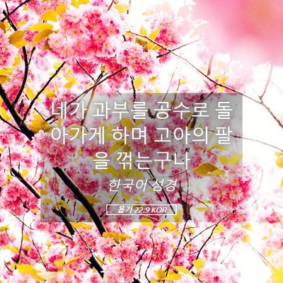 Picture 05 - 욥기 22:9 KOR - 네가 과부를 공수로 돌아가게 하며 - Bible Verse Picture