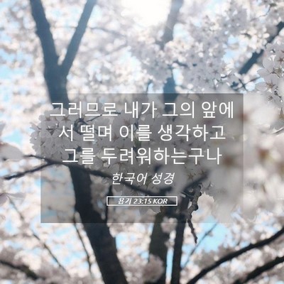 Picture 05 - 욥기 23:15 KOR - 그러므로 내가 그의 앞에서 떨며 - Bible Verse Picture