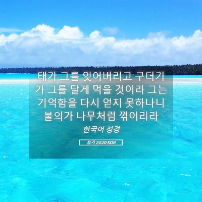 Picture 05 - 욥기 24:20 KOR - 태가 그를 잊어버리고 구더기가 그를 - Bible Verse Picture