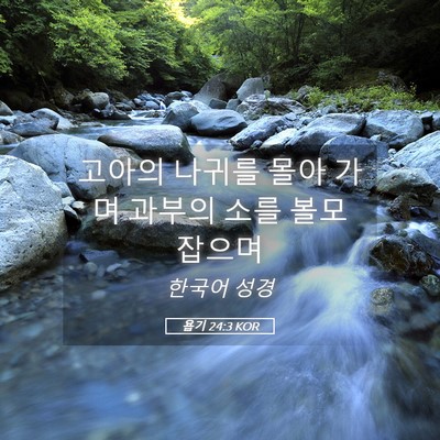 Picture 05 - 욥기 24:3 KOR - 고아의 나귀를 몰아 가며 과부의 - Bible Verse Picture