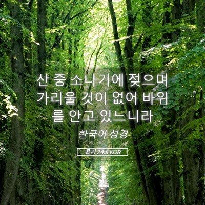 Picture 05 - 욥기 24:8 KOR - 산 중 소나기에 젖으며 가리울 것이 - Bible Verse Picture