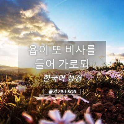 Picture 05 - 욥기 29:1 KOR - 욥이 또 비사를 들어 - Bible Verse Picture