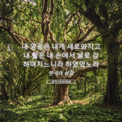 Picture 05 - 욥기 29:20 KOR - 내 영광은 내게 새로와지고 내 활은 - Bible Verse Picture