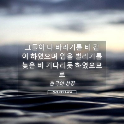 Picture 05 - 욥기 29:23 KOR - 그들이 나 바라기를 비 같이 - Bible Verse Picture