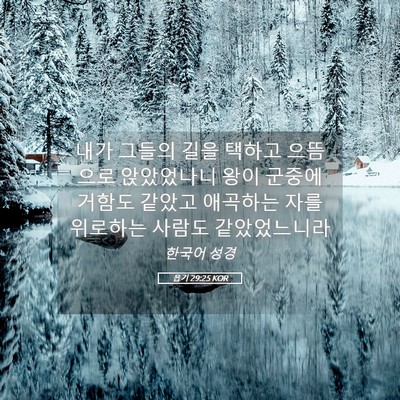Picture 05 - 욥기 29:25 KOR - 내가 그들의 길을 택하고 으뜸으로 - Bible Verse Picture