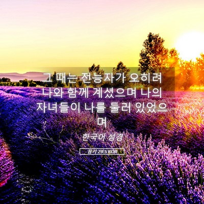 Picture 05 - 욥기 29:5 KOR - 그 때는 전능자가 오히려 나와 함께 - Bible Verse Picture