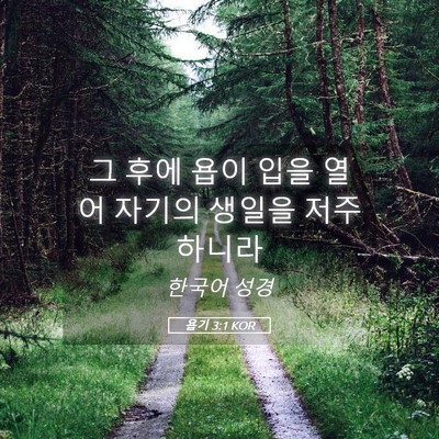 Picture 05 - 욥기 3:1 KOR - 그 후에 욥이 입을 열어 자기의 - Bible Verse Picture