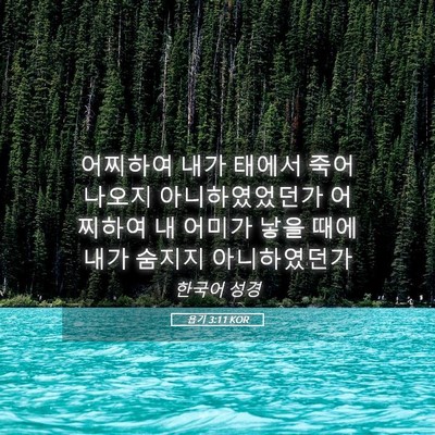 Picture 05 - 욥기 3:11 KOR - 어찌하여 내가 태에서 죽어 나오지 - Bible Verse Picture