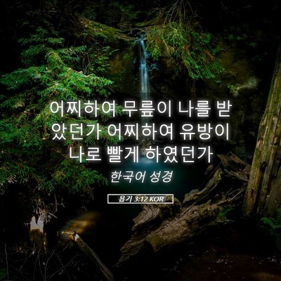 Picture 05 - 욥기 3:12 KOR - 어찌하여 무릎이 나를 받았던가 - Bible Verse Picture