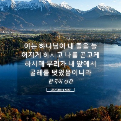 Picture 05 - 욥기 30:11 KOR - 이는 하나님이 내 줄을 늘어지게 - Bible Verse Picture
