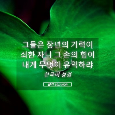 Picture 05 - 욥기 30:2 KOR - 그들은 장년의 기력이 쇠한 자니 그 - Bible Verse Picture