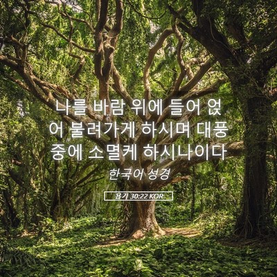 Picture 05 - 욥기 30:22 KOR - 나를 바람 위에 들어 얹어 불려가게 - Bible Verse Picture
