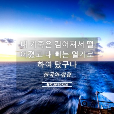 Picture 05 - 욥기 30:30 KOR - 내 가죽은 검어져서 떨어졌고 내 - Bible Verse Picture