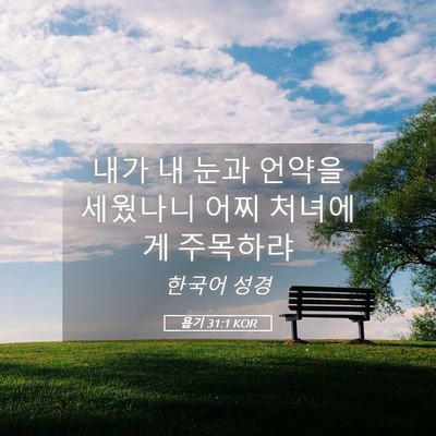 Picture 05 - 욥기 31:1 KOR - 내가 내 눈과 언약을 세웠나니 어찌 - Bible Verse Picture