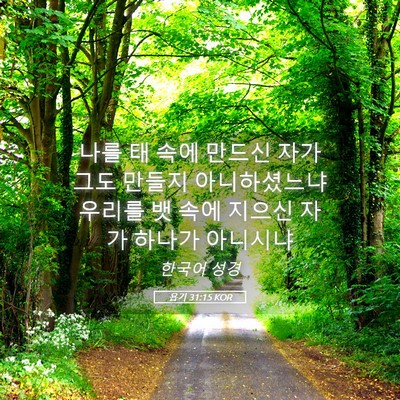 Picture 05 - 욥기 31:15 KOR - 나를 태 속에 만드신 자가 그도 - Bible Verse Picture