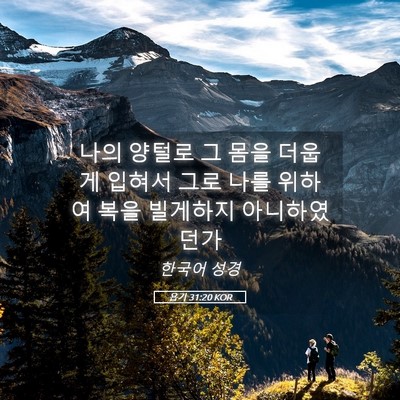 Picture 05 - 욥기 31:20 KOR - 나의 양털로 그 몸을 더웁게 입혀서 - Bible Verse Picture