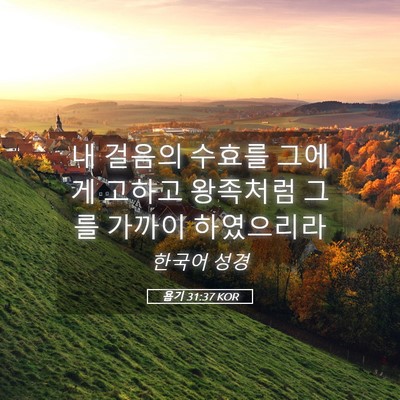 Picture 05 - 욥기 31:37 KOR - 내 걸음의 수효를 그에게 고하고 - Bible Verse Picture