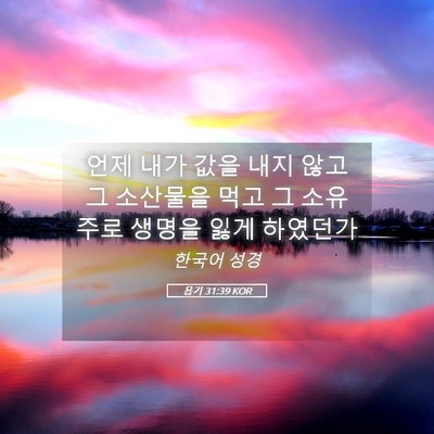Picture 05 - 욥기 31:39 KOR - 언제 내가 값을 내지 않고 그 - Bible Verse Picture