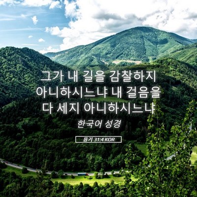 Picture 05 - 욥기 31:4 KOR - 그가 내 길을 감찰하지 아니하시느냐 - Bible Verse Picture
