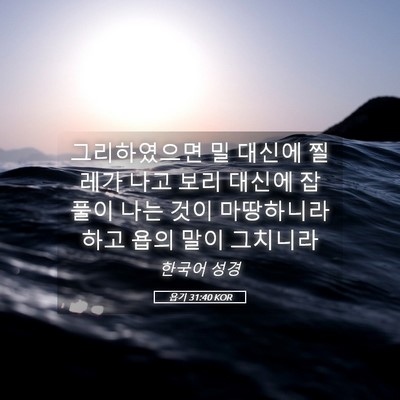 Picture 05 - 욥기 31:40 KOR - 그리하였으면 밀 대신에 찔레가 나고 - Bible Verse Picture