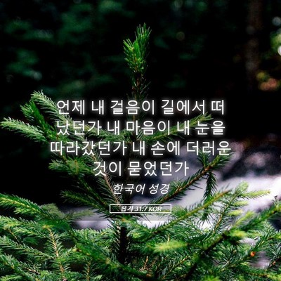 Picture 05 - 욥기 31:7 KOR - 언제 내 걸음이 길에서 떠났던가 내 - Bible Verse Picture