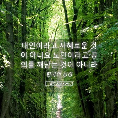 Picture 05 - 욥기 32:9 KOR - 대인이라고 지혜로운 것이 아니요 - Bible Verse Picture