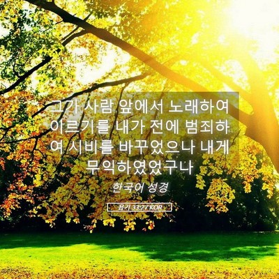 Picture 05 - 욥기 33:27 KOR - 그가 사람 앞에서 노래하여 이르기를 - Bible Verse Picture