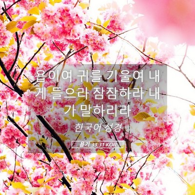 Picture 05 - 욥기 33:31 KOR - 욥이여 귀를 기울여 내게 들으라 - Bible Verse Picture
