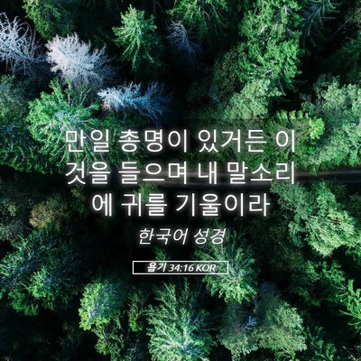 Picture 05 - 욥기 34:16 KOR - 만일 총명이 있거든 이것을 들으며 - Bible Verse Picture