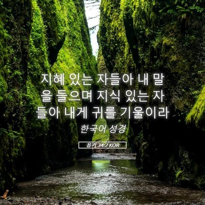 Picture 05 - 욥기 34:2 KOR - 지혜 있는 자들아 내 말을 들으며 - Bible Verse Picture