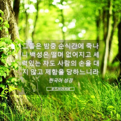 Picture 05 - 욥기 34:20 KOR - 그들은 밤중 순식간에 죽나니 백성은 - Bible Verse Picture