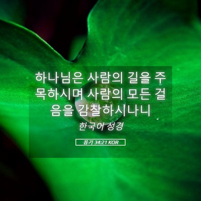 Picture 05 - 욥기 34:21 KOR - 하나님은 사람의 길을 주목하시며 - Bible Verse Picture