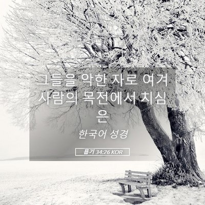 Picture 05 - 욥기 34:26 KOR - 그들을 악한 자로 여겨 사람의 - Bible Verse Picture