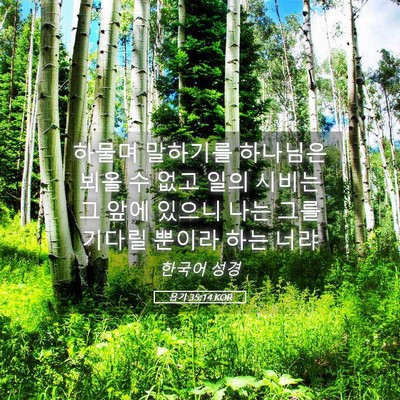 Picture 05 - 욥기 35:14 KOR - 하물며 말하기를 하나님은 뵈올 수 - Bible Verse Picture