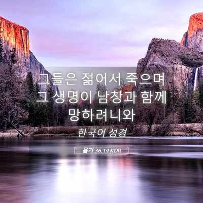 Picture 05 - 욥기 36:14 KOR - 그들은 젊어서 죽으며 그 생명이 - Bible Verse Picture