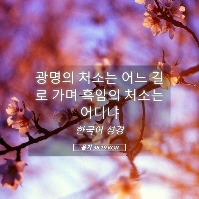 Picture 05 - 욥기 38:19 KOR - 광명의 처소는 어느 길로 가며 - Bible Verse Picture
