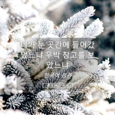 Picture 05 - 욥기 38:22 KOR - 네가 눈 곳간에 들어갔었느냐 우박 - Bible Verse Picture