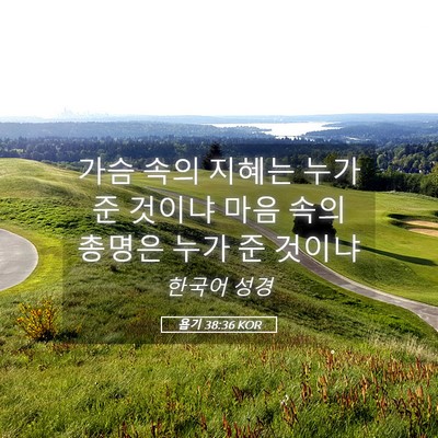 Picture 05 - 욥기 38:36 KOR - 가슴 속의 지혜는 누가 준 것이냐 - Bible Verse Picture