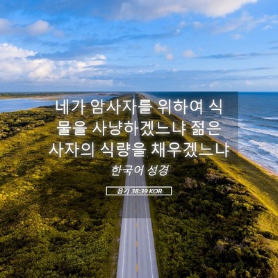 Picture 05 - 욥기 38:39 KOR - 네가 암사자를 위하여 식물을 - Bible Verse Picture