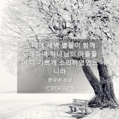 Picture 05 - 욥기 38:7 KOR - 그 때에 새벽 별들이 함께 노래하며 - Bible Verse Picture