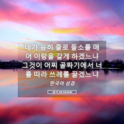 Picture 05 - 욥기 39:10 KOR - 네가 능히 줄로 들소를 매어 이랑을 - Bible Verse Picture