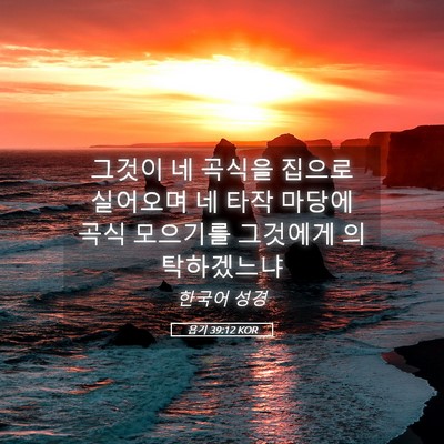 Picture 05 - 욥기 39:12 KOR - 그것이 네 곡식을 집으로 실어오며 - Bible Verse Picture