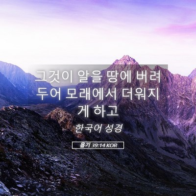 Picture 05 - 욥기 39:14 KOR - 그것이 알을 땅에 버려두어 모래에서 - Bible Verse Picture
