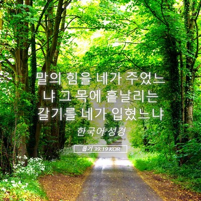 Picture 05 - 욥기 39:19 KOR - 말의 힘을 네가 주었느냐 그 목에 - Bible Verse Picture