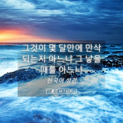 Picture 05 - 욥기 39:2 KOR - 그것이 몇 달만에 만삭되는지 아느냐 - Bible Verse Picture