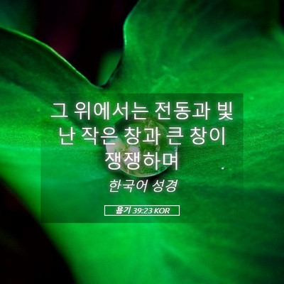 Picture 05 - 욥기 39:23 KOR - 그 위에서는 전동과 빛난 작은 창과 - Bible Verse Picture
