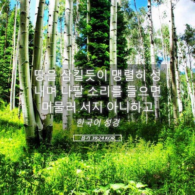 Picture 05 - 욥기 39:24 KOR - 땅을 삼킬듯이 맹렬히 성내며 나팔 - Bible Verse Picture